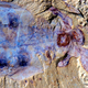 Illustration for article titled Mysterious 500 Million-Year-Old Predators Are the Ancestors of Spiders